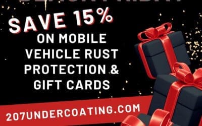 Our 2024 Black Friday Sale!