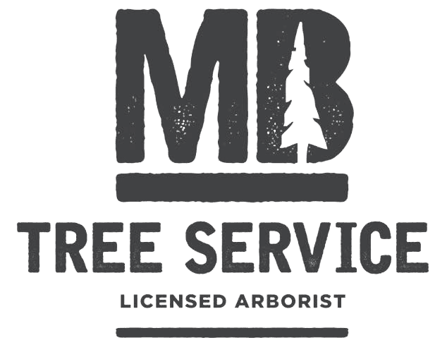 MBTree MBTree